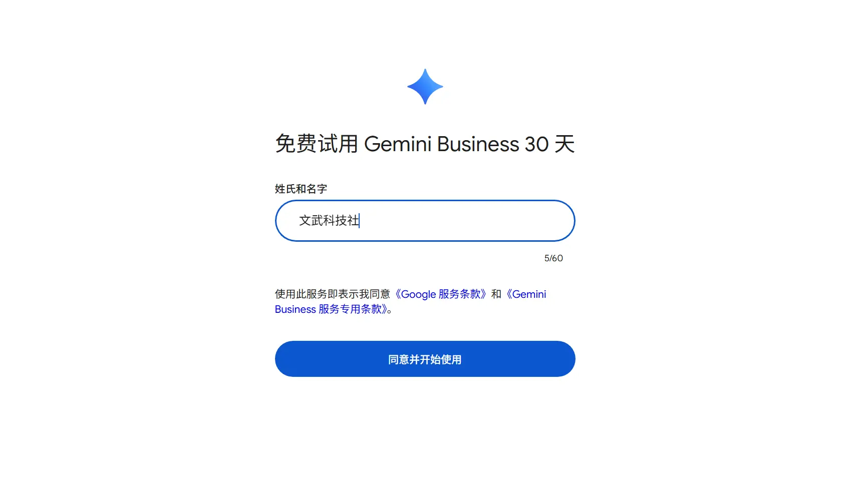 Google  Gemini Enterprise组织名称