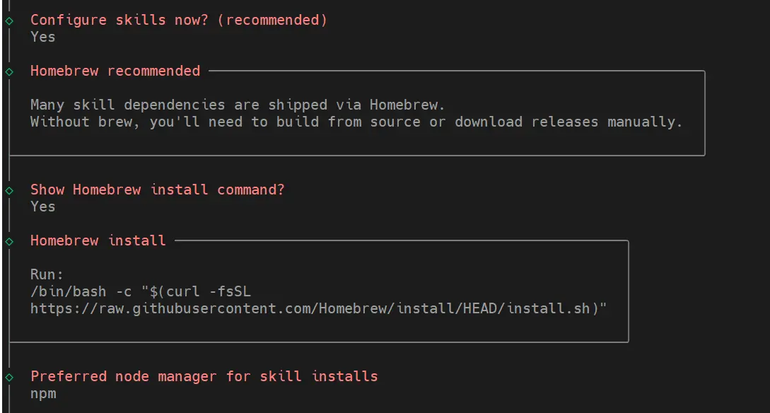 OpenClaw 设置 Skills